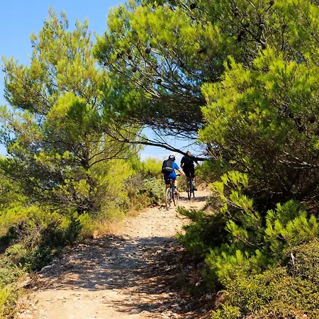 2b Castegner With Garden & Free Parking Appartamento *