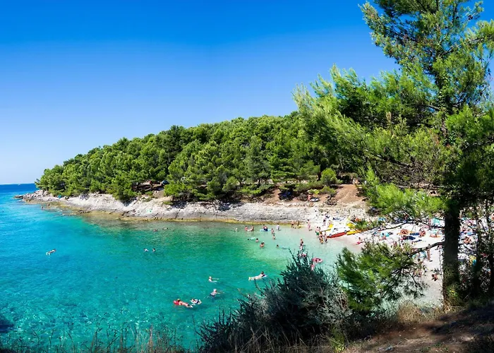 2b Castegner With Garden & Free Parking Διαμέρισμα *